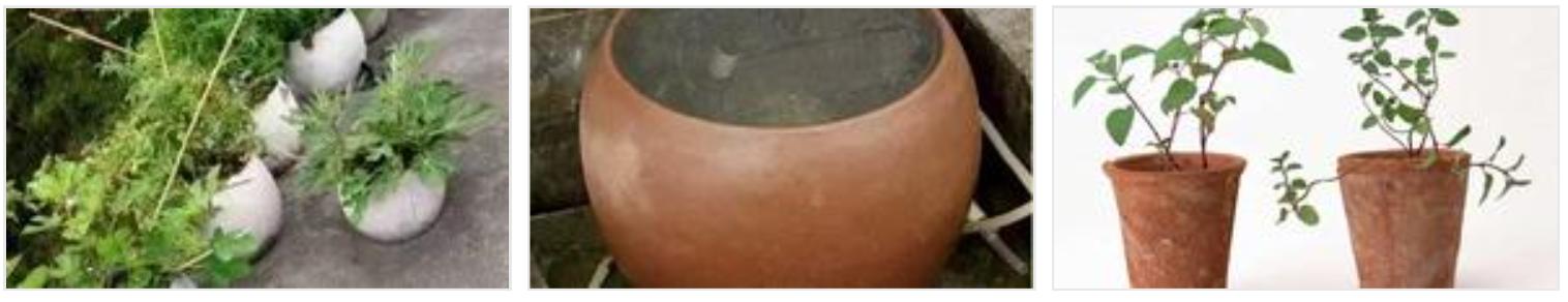 苔藓不好养?来,练好苔藓“四要诀”,再养不活你来找台长!