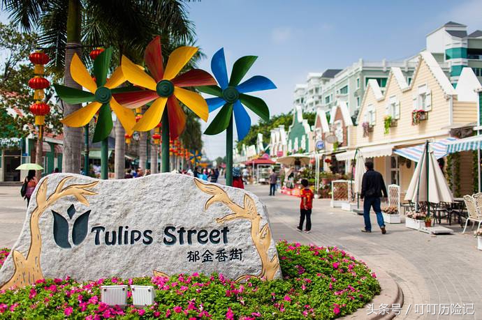 旅游景点—深圳荷兰花卉小镇，你心中的文艺世界却不成关注的地方