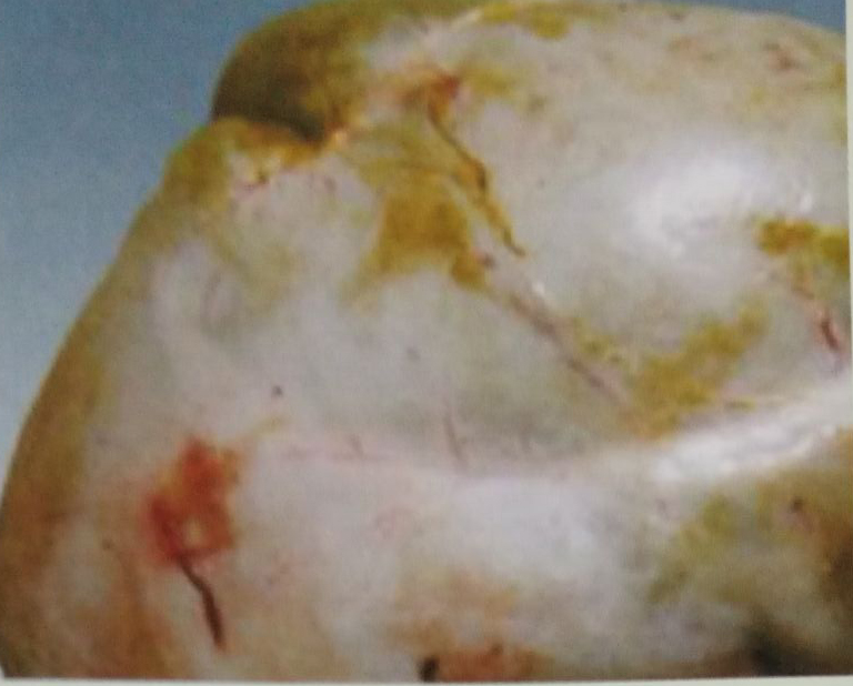 羊瘤胃积食导致瘫软,羊瘤胃积食的症状和治疗