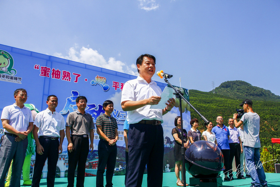 骞冲拰铚滄煔鑷姪閲囨憳,骞冲拰铚滄煔鑷敱閲囨憳