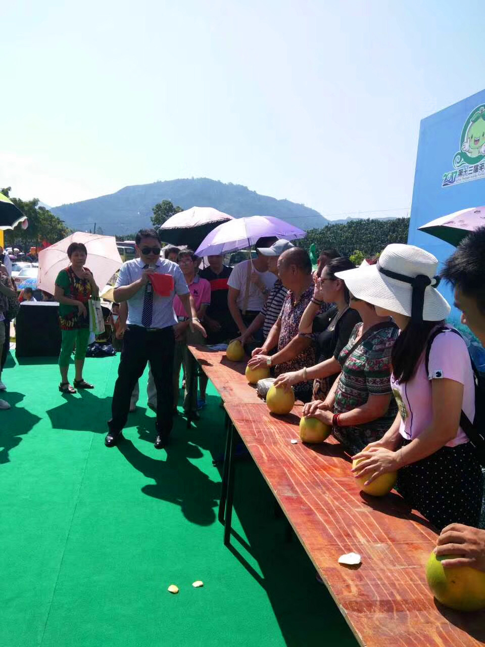 骞冲拰铚滄煔鑷姪閲囨憳,骞冲拰铚滄煔鑷敱閲囨憳