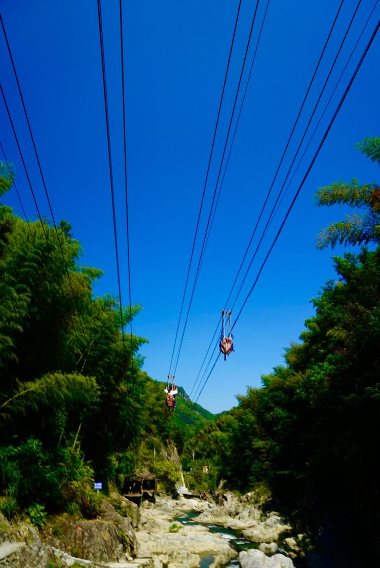 温州三八妇女节好玩的地方,温州三八节活动