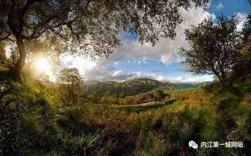 离主城最近的森林公园,离尘不离城的视频