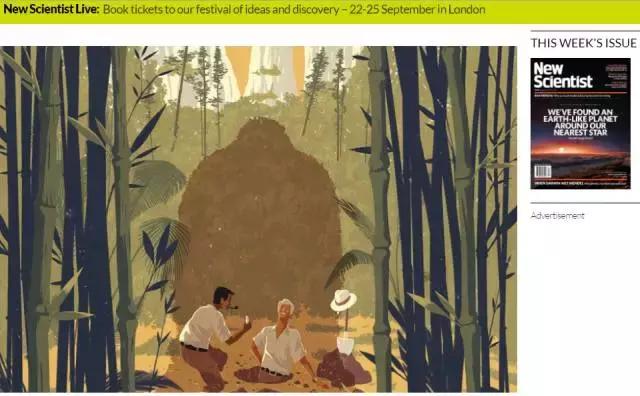 吐血整理雅思备考经验帖,吐血整理超全golang