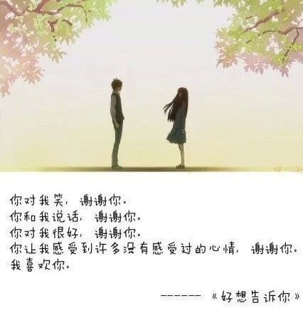 盘点那些让你此生难忘的恋爱动漫,那些让人感动的恋爱动漫