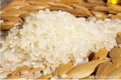 中国农业优质稻谷销售价,质量好的日本大米
