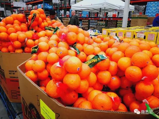 澳洲华人超市最新物价,澳洲超市买东西便宜吗