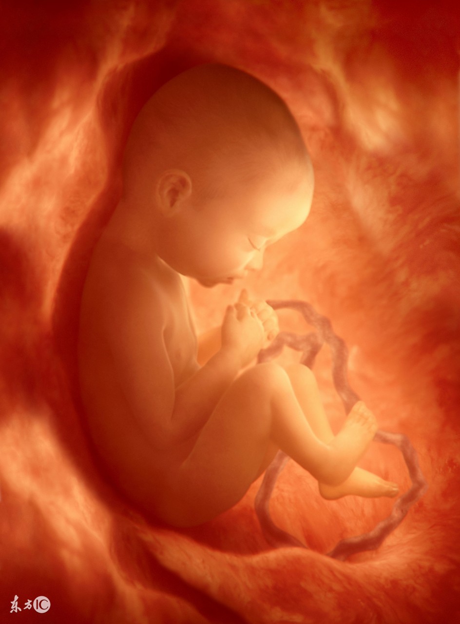 为什么叫羊水羊膜,为什么取名叫羊水