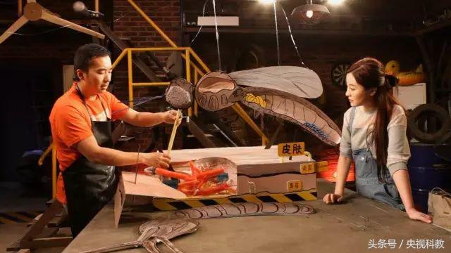 活了30年才知道防蚊妙招,科学防蚊