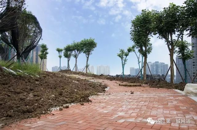 离主城最近的森林公园,离尘不离城的视频