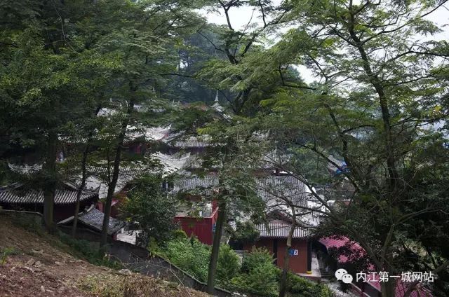 离主城最近的森林公园,离尘不离城的视频