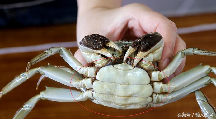 你真的会吃海鲜干货吗,还不知道怎么吃螃蟹手把手教你