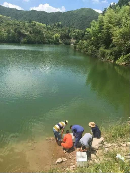 国庆加井岛旅游攻略,国庆五天四夜旅游攻略