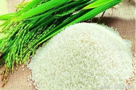 中国农业优质稻谷销售价,质量好的日本大米