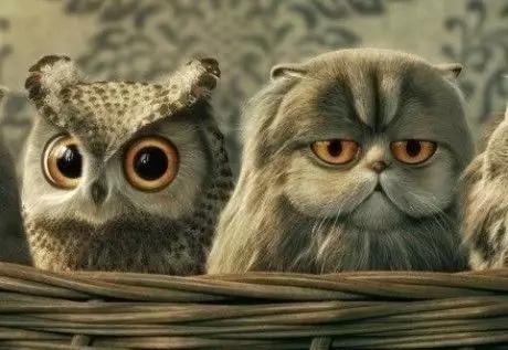 新手美瞳的正确戴法和护理,美瞳到底要怎么戴