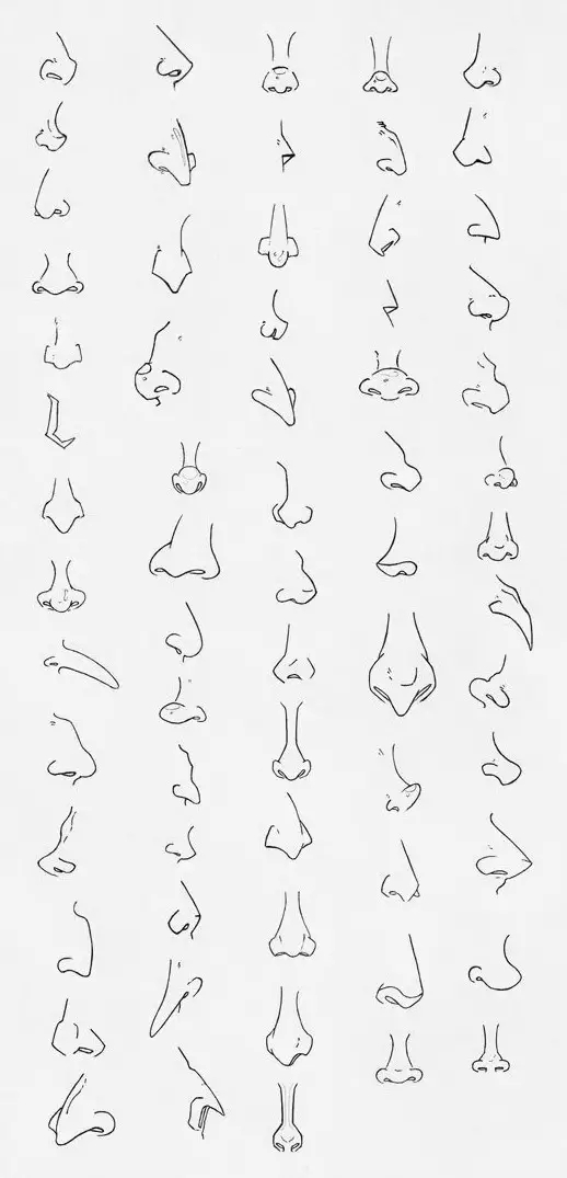 各种鼻子简笔画幼儿,简笔画鼻子的画法