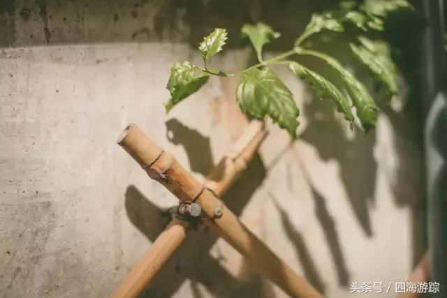 佛山南风古灶属于什么文化遗产,佛山南风古灶景点介绍图