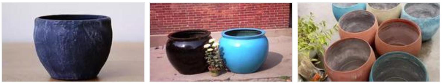 苔藓不好养?来,练好苔藓“四要诀”,再养不活你来找台长!