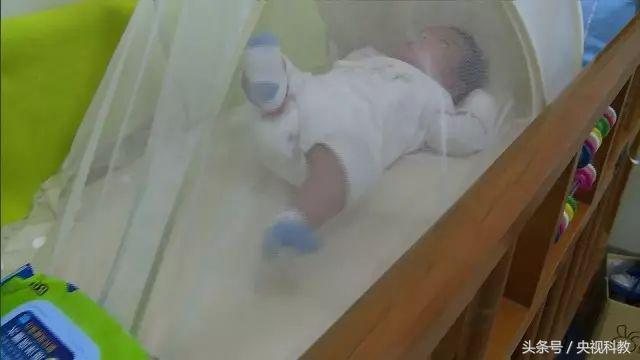 活了30年才知道防蚊妙招,科学防蚊