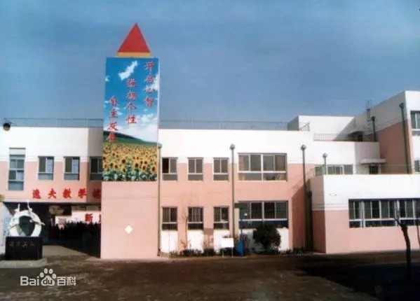 保定复兴小学和高新区小学哪个好,保定前进小学和前卫路小学哪个好