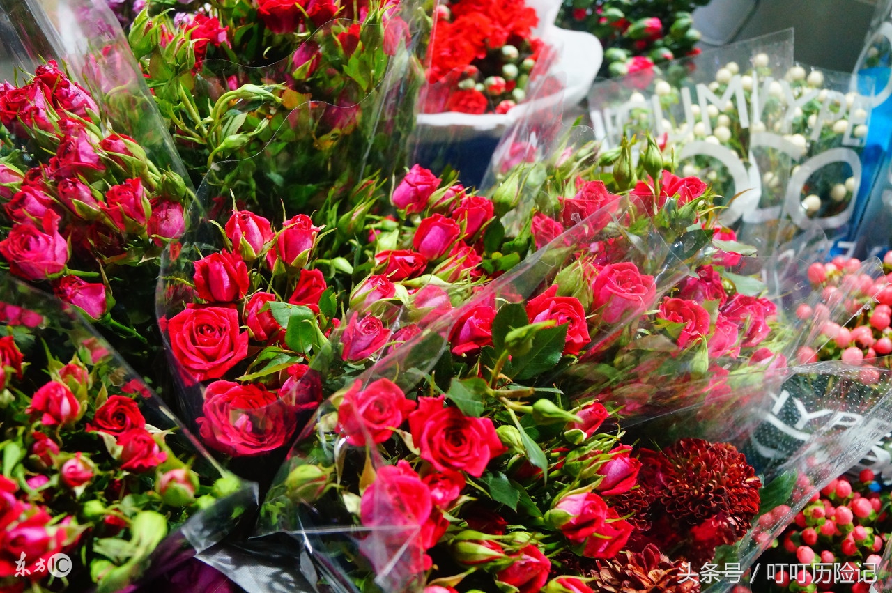 旅游景点—深圳荷兰花卉小镇，你心中的文艺世界却不成关注的地方