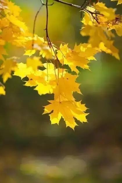 心中不缺为富被人所需为贵,心中无缺即为富被人需要即为贵