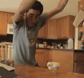 怎么挑选鸡蛋又光又滑,市场老板不会告诉你的秘密