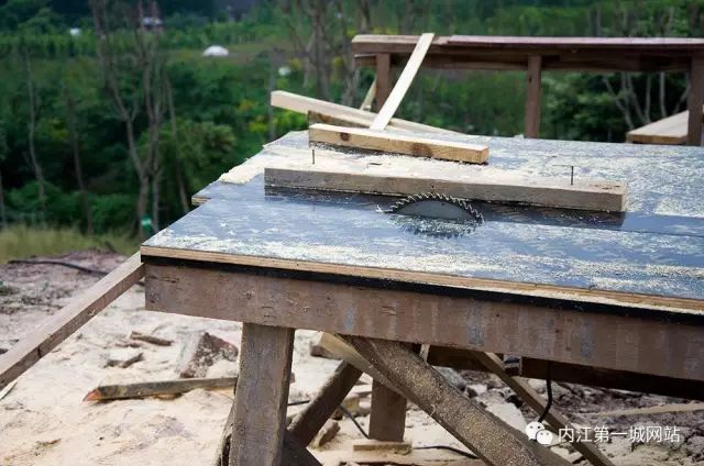 离主城最近的森林公园,离尘不离城的视频