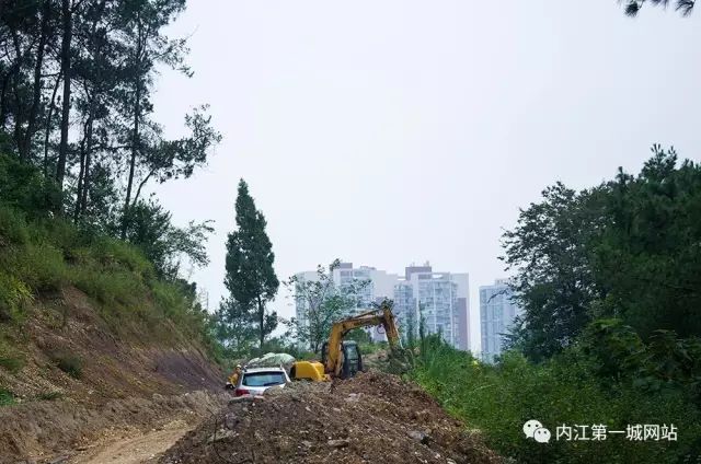 离主城最近的森林公园,离尘不离城的视频