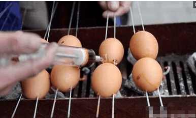 鸡蛋的不同吃法,鸡蛋的吃法烤鸡蛋
