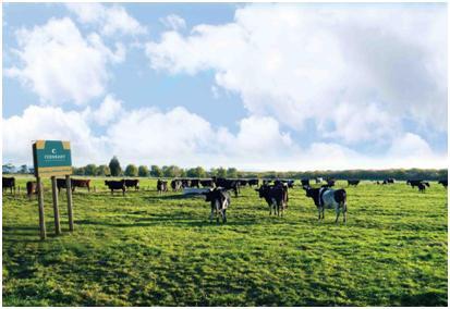 新西兰市场占有率第一的奶粉,新西兰的奶粉为什么在澳洲卖