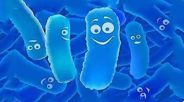 益生菌不能乱吃宝宝脾胃虚,美国进口的益生菌敢给孩子吃吗