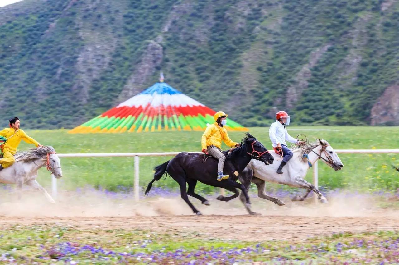 佳能6dmark2,佳能6dmarkii拍会议照片怎样对焦