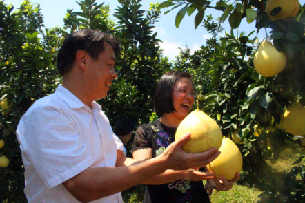 骞冲拰铚滄煔鑷姪閲囨憳,骞冲拰铚滄煔鑷敱閲囨憳