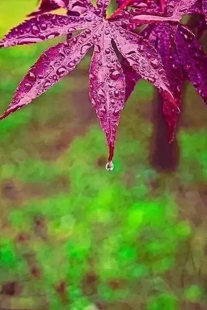 心中不缺为富被人所需为贵,心中无缺即为富被人需要即为贵