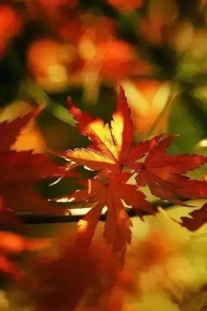 心中不缺为富被人所需为贵,心中无缺即为富被人需要即为贵