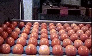 怎么挑选鸡蛋又光又滑,市场老板不会告诉你的秘密