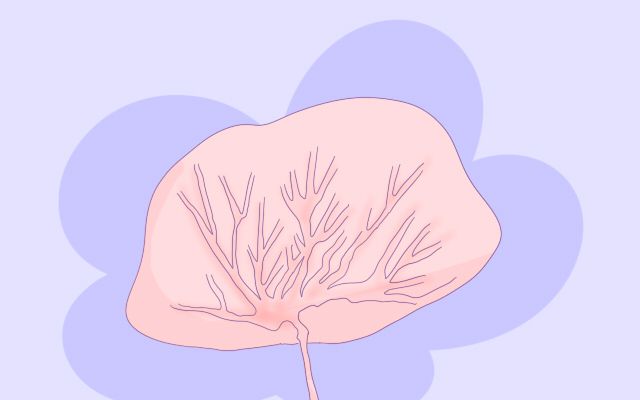 一般医院胎盘如何处理,医院胎盘的处置方法