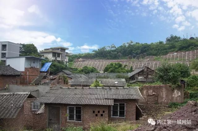 离主城最近的森林公园,离尘不离城的视频