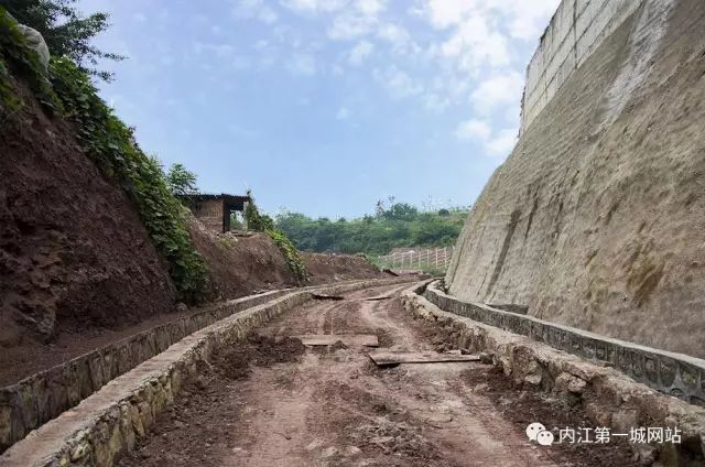 离主城最近的森林公园,离尘不离城的视频