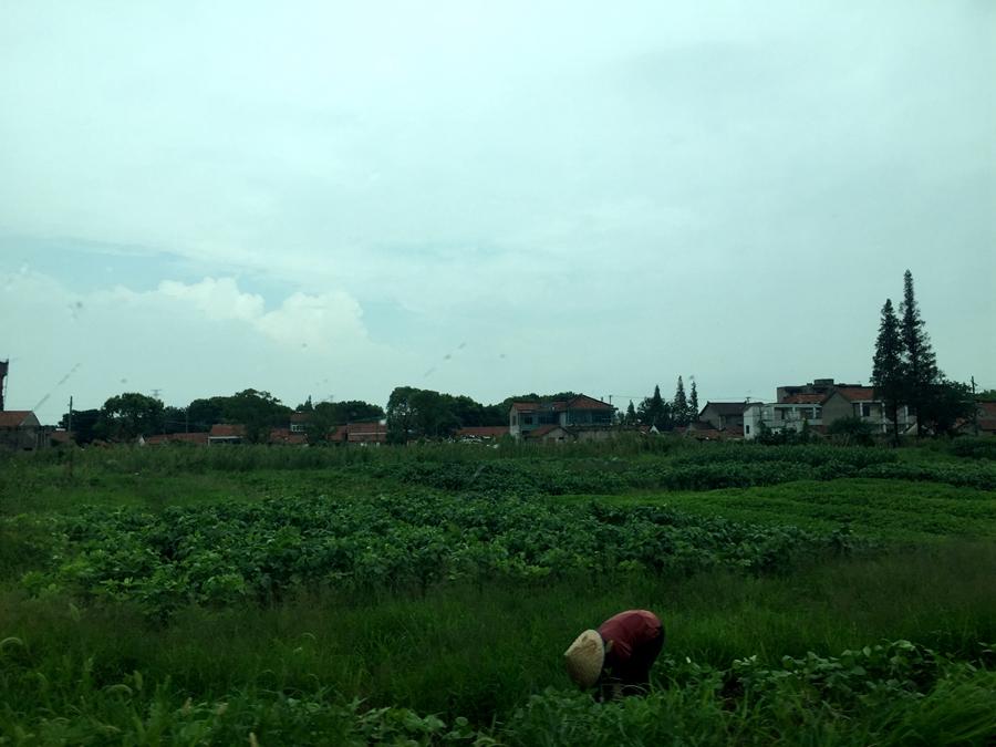 昆山张浦镇区域图,张浦飞地