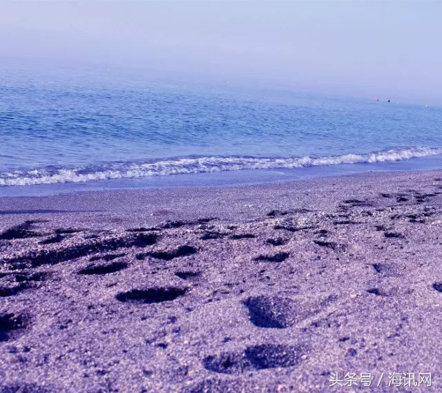 紫色搭配单品,紫色系单品