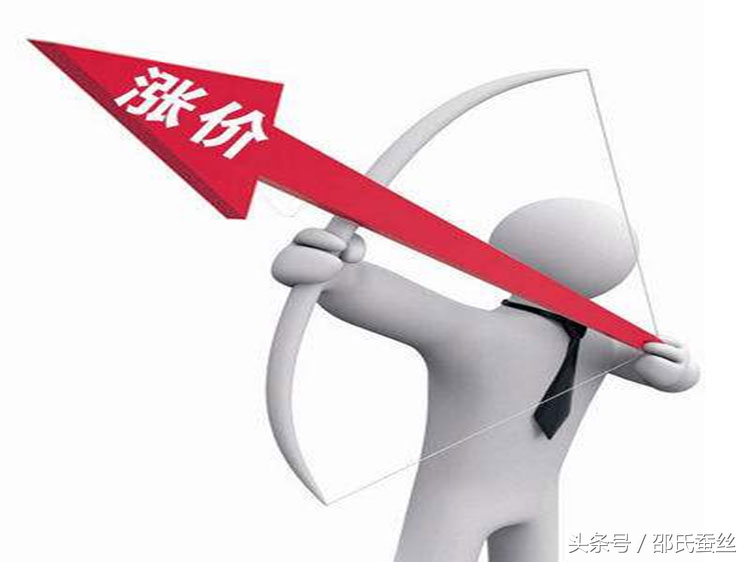 范瑟丝蚕丝被价格,丝冠蚕丝被价格查询