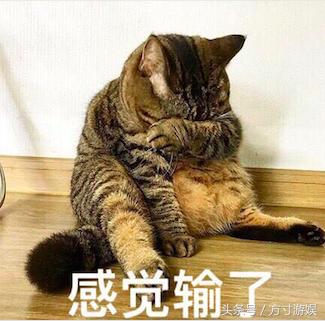 节奏感差不能玩?太鼓达人+patapon音乐游戏来了