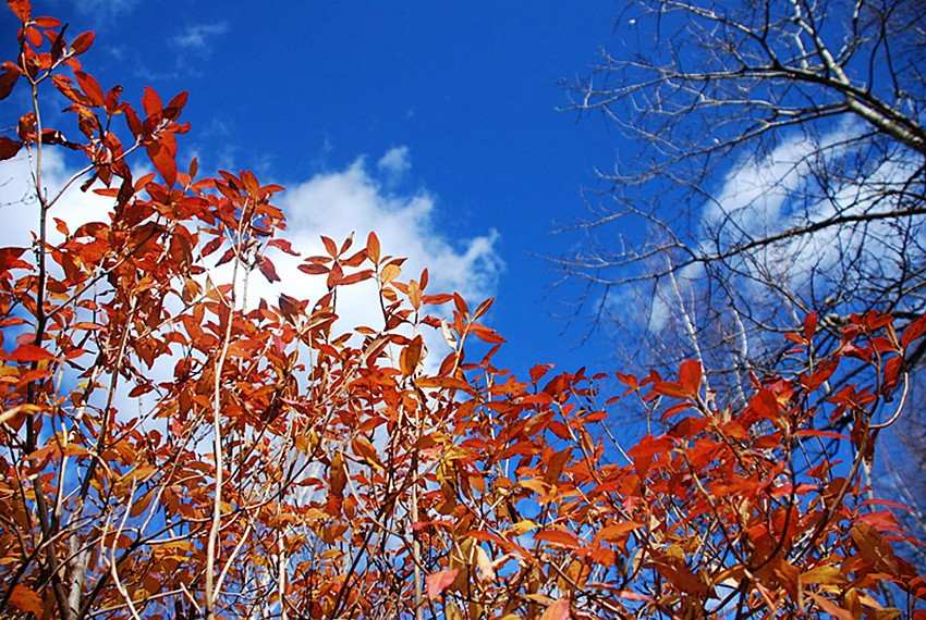 喇嘛沟景区游览攻略,北京喇叭沟旅游攻略