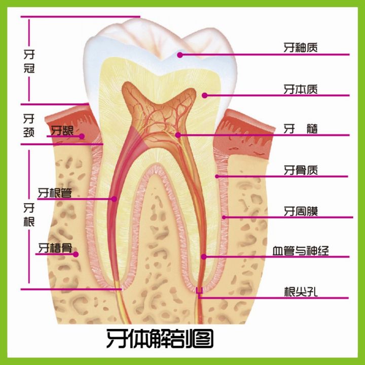 矫正牙齿过程中会出现的问题,矫正过程中牙齿出现反弹