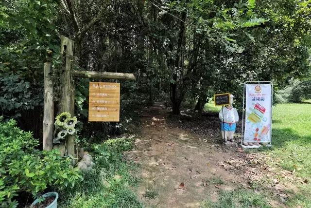 武夷山最值得住的酒店,武夷山哪个民宿舒服