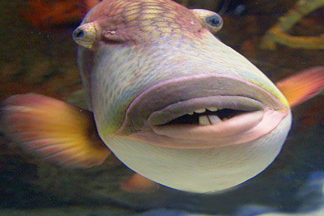 云尚笑娱搞笑片段,云尚笑娱完整版