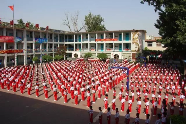 保定复兴小学和高新区小学哪个好,保定前进小学和前卫路小学哪个好