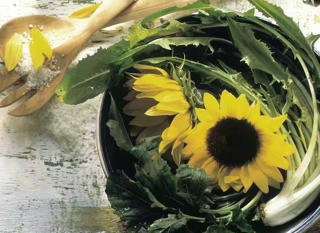 蒲公英茶哪些人不适合喝,蒲公英隔夜能喝吗